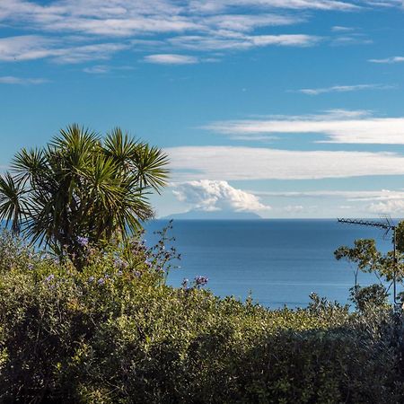 Belle View - Stay Waiheke Onetangi Екстер'єр фото